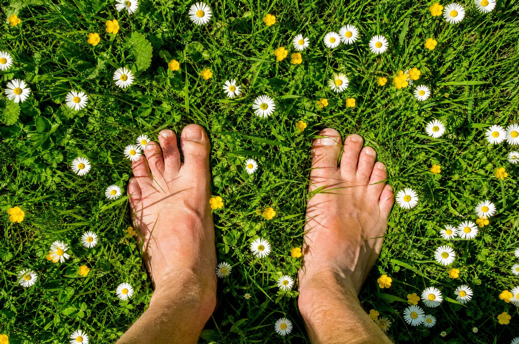 Bare feet in green grass full of daisies, toes naturally spread